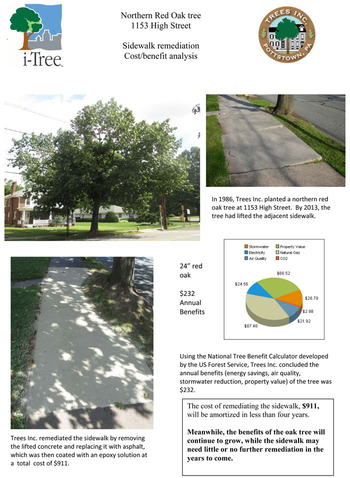 K1-hylton-trees-calculations