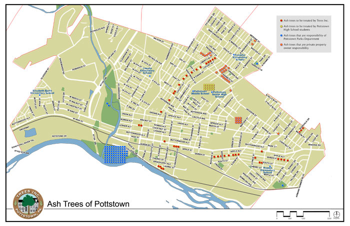 L2-hylton-trees-tree-map